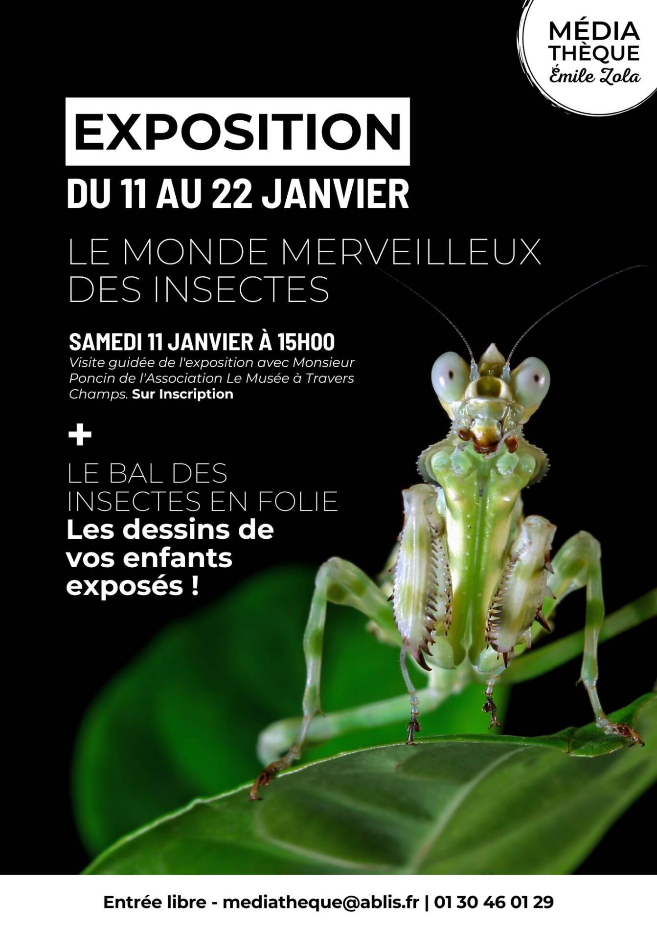 Exposition Le Monde Merveilleux Des Insectes Office De Tourisme De