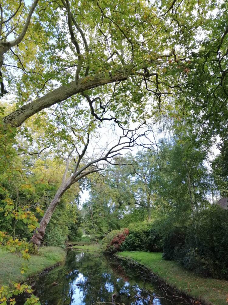 Domaine de Rambouillet - parc - canal - jardin anglais - Chaumière