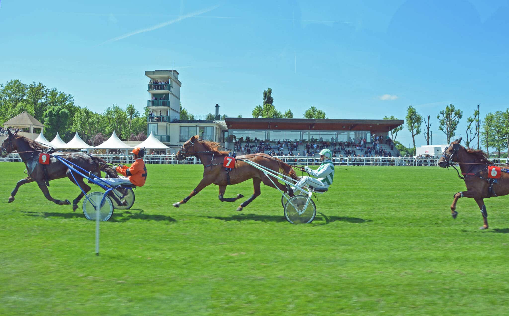 Hippodrome de Rambouillet, cheval de course