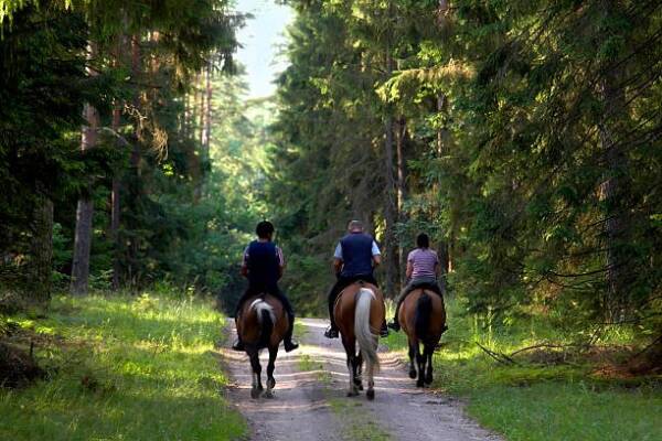 Randonnée à cheval