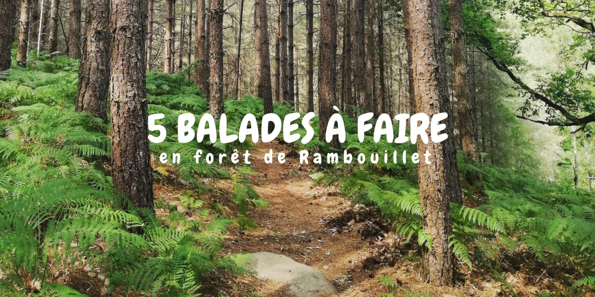 5 balades à faire en forêt de Rambouillet