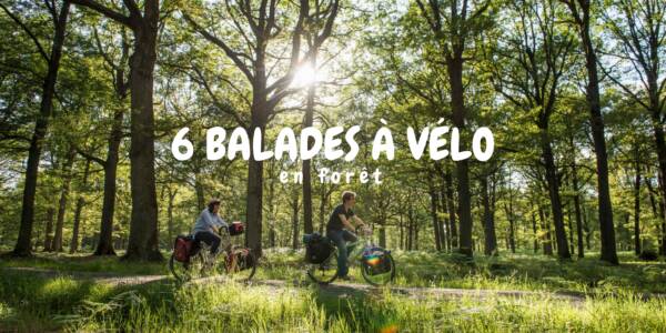 6 balades à vélo en forêt