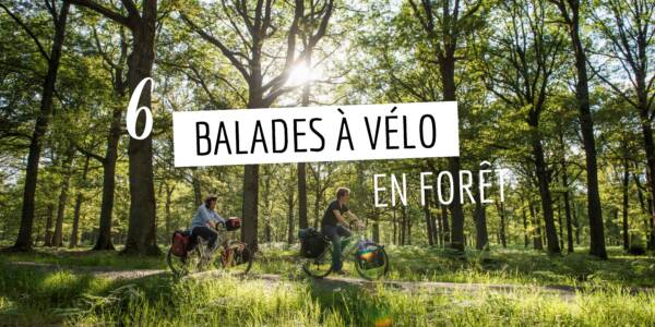 6 balades à vélo en forêt