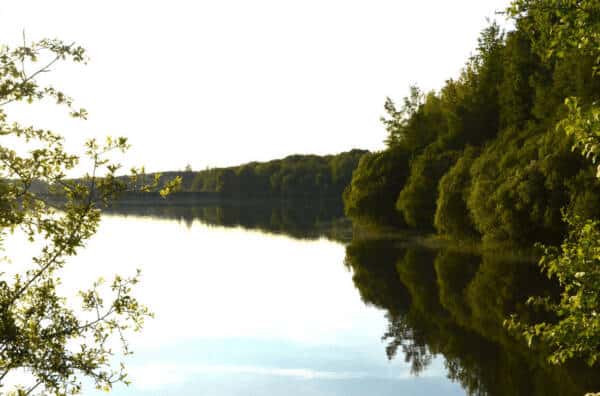 Balade nature et histoire de la réserve au Pourras