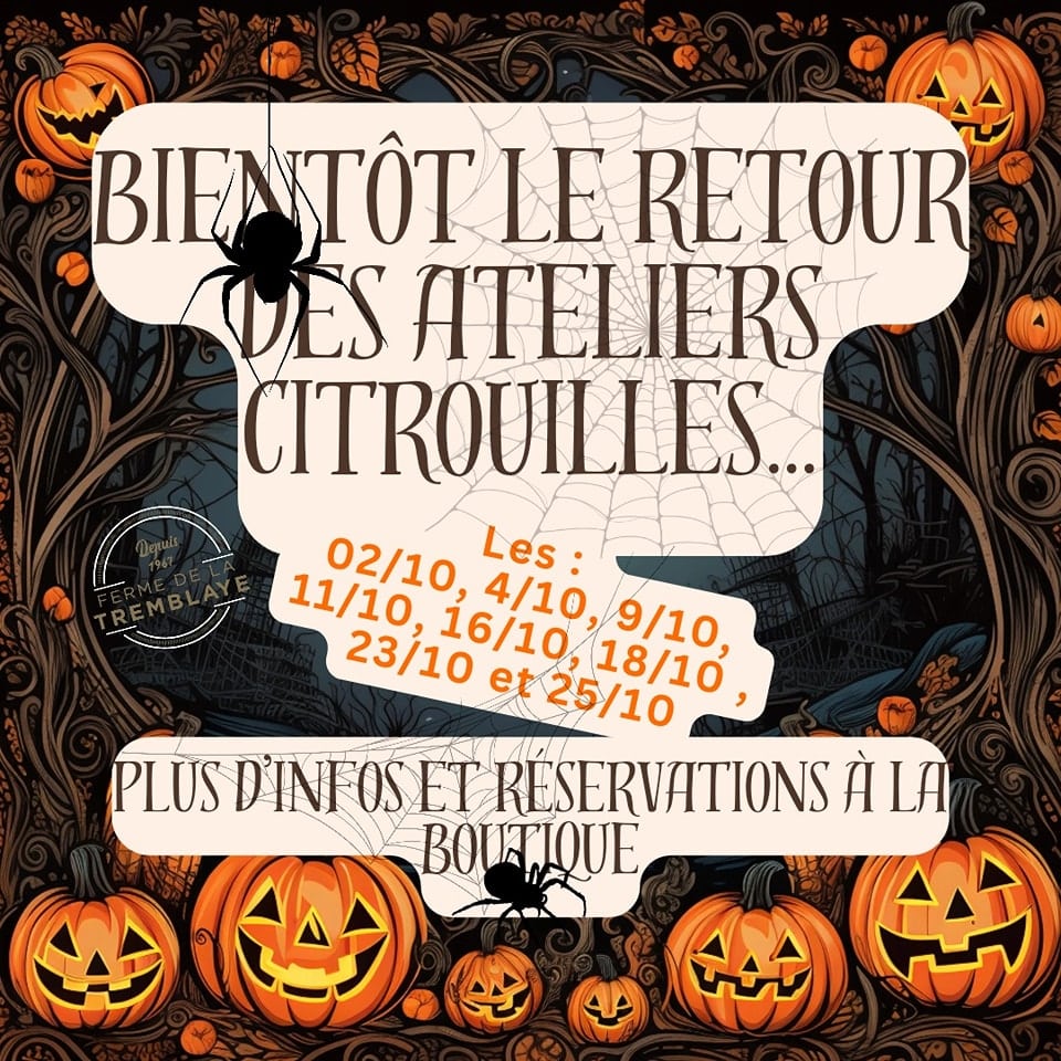 ateliers citrouilles