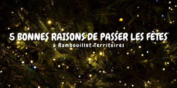 5 bonnes raisons de passer les fêtes de fin d'année à Rambouillet Territoires